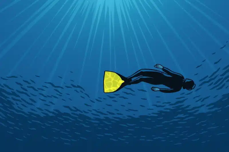 Fibre de verre ou carbone : quelle monopalme choisir ?