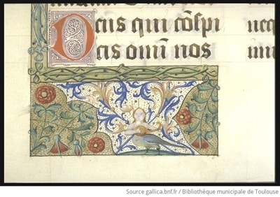 Bordure ornée (motif végétal, sirène à corps d'oiseau) - Source BNF/Gallica