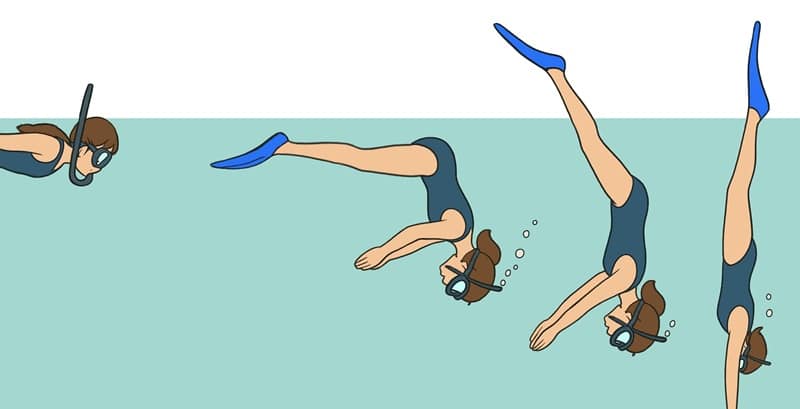 Illustration montrant les 4 phases de réalisation d'un canard en monopalme