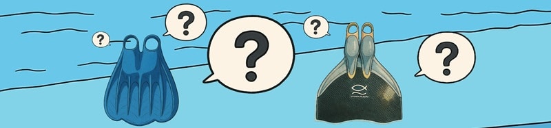 Illustration, quelle monopalme choisir ?
