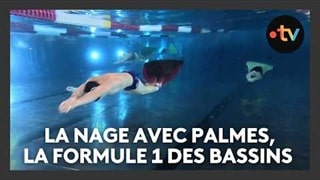 Reportage : La nage avec palmes, la Formule 1 des bassins - France tv