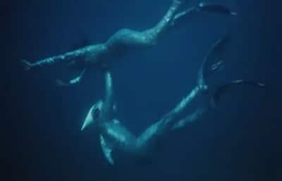 Amphibian Man, film de 1961, le rêve d'Ichtiandre avec Guttiere, LenFilm