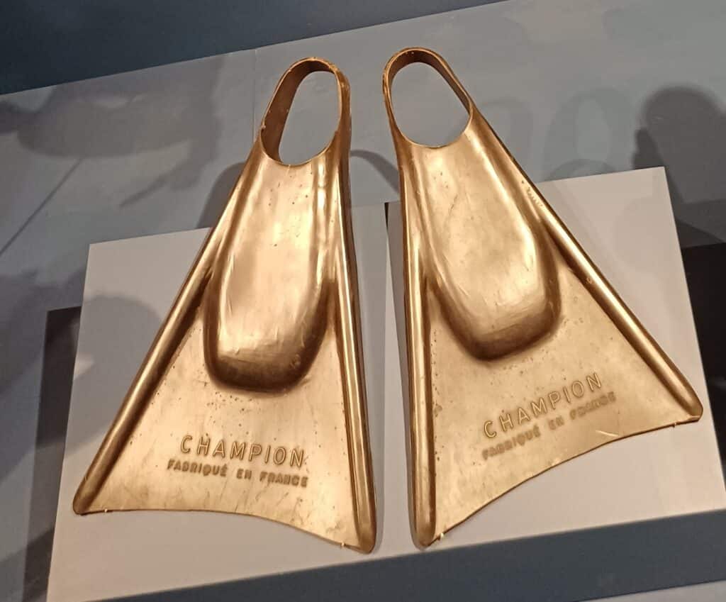 Palmes Champion des années 1950 - Cité de la mer - Cherbourg